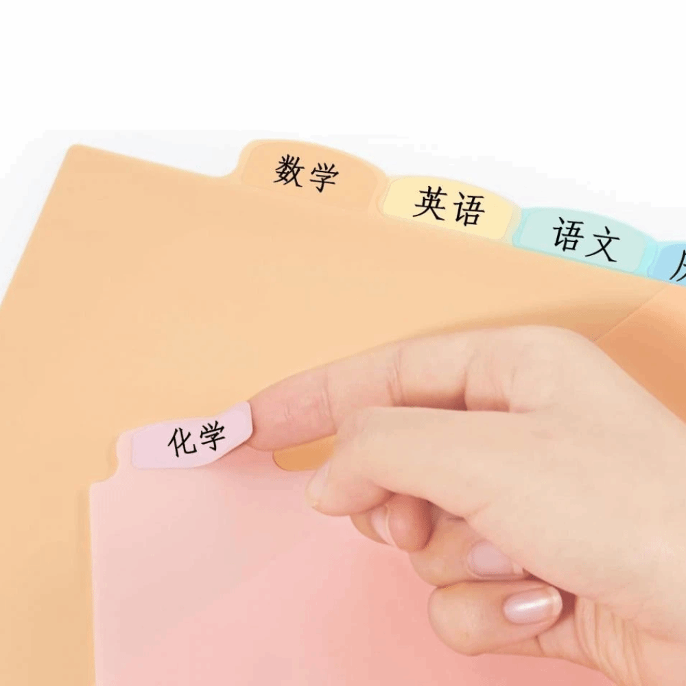 8 pcs A4 Pastel Binder Divider - Tab Divider A4 review and price