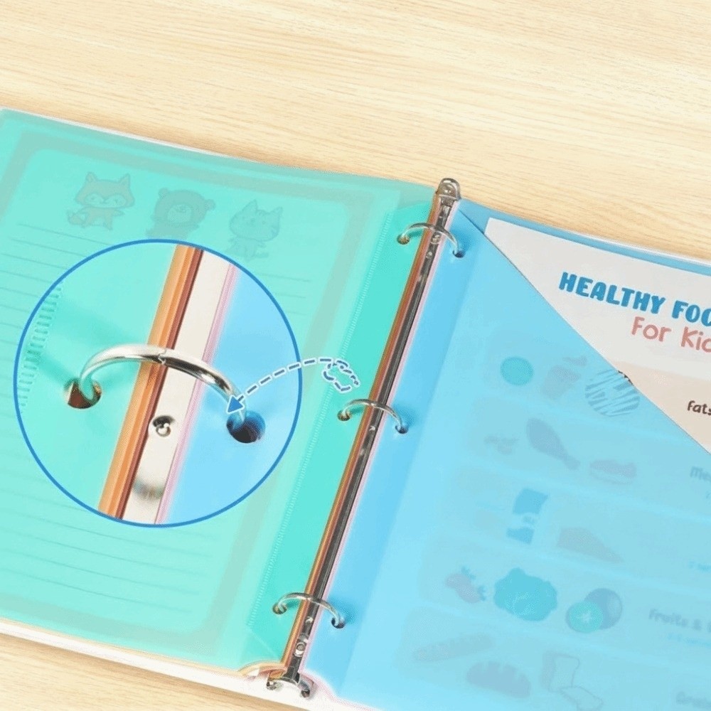 8 pcs A4 Pastel Binder Divider - Tab Divider A4 review and price